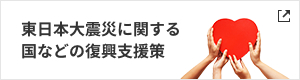 東日本大震災に関する国などの復興支援策